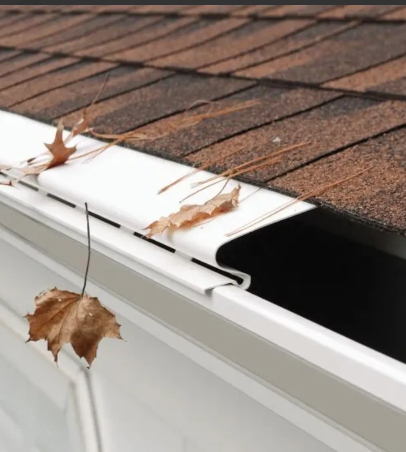Gutter Repair: white rain gutter clogged with fallen leaves beneath asphalt shingle roof
