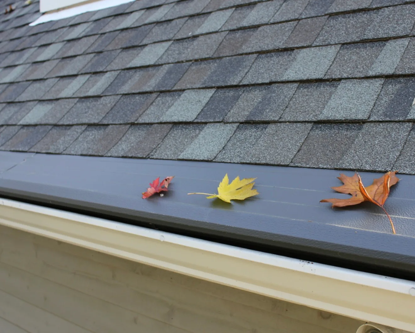 Asphalt shingle roof gutter clogged with fallen leaves requiring gutter repair and cleaning services