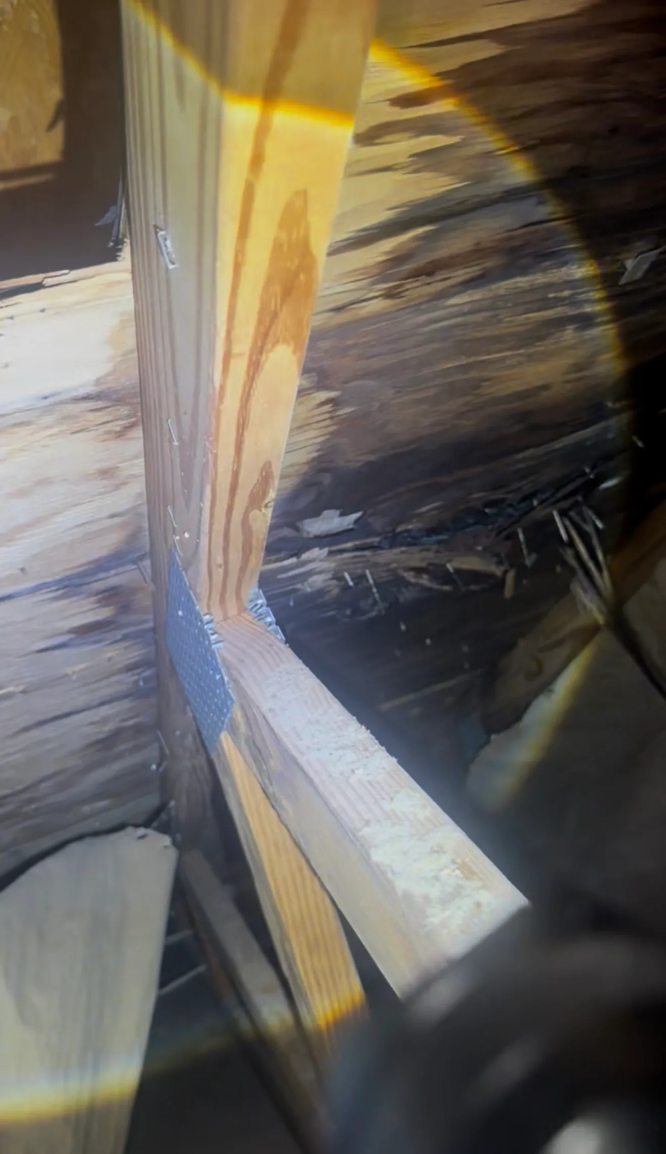 Roof Replacement work showing junction of old damaged roof with fresh protective waterproofing