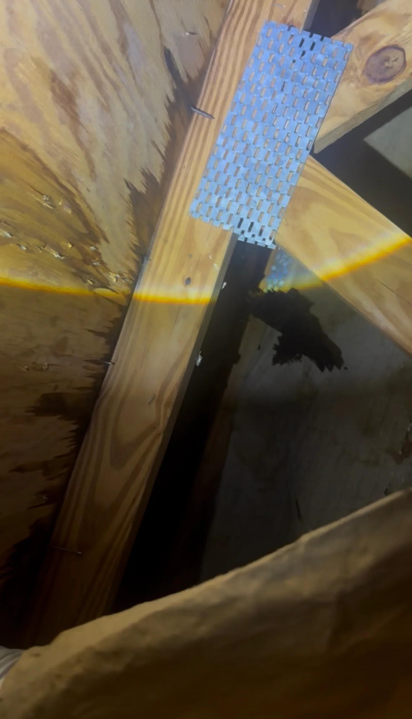 Roof Repair: Blue vapor barrier membrane installed over wooden roof framing during installation