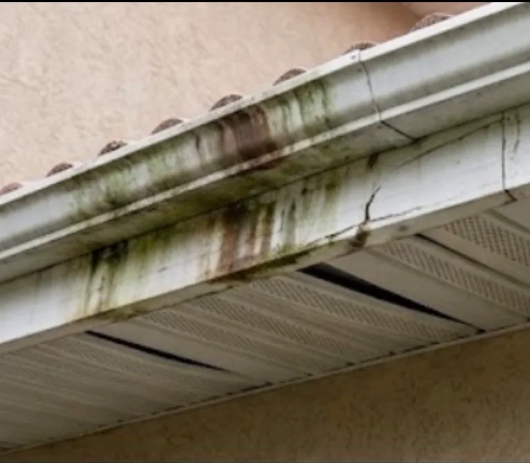 Dirty aluminum seamless gutters showing moss and algae buildup requiring professional gutter repair