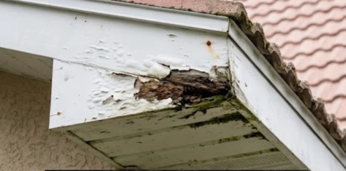 Damaged soffit, rotting fascia trim, and algae-covered gutter requiring repair service