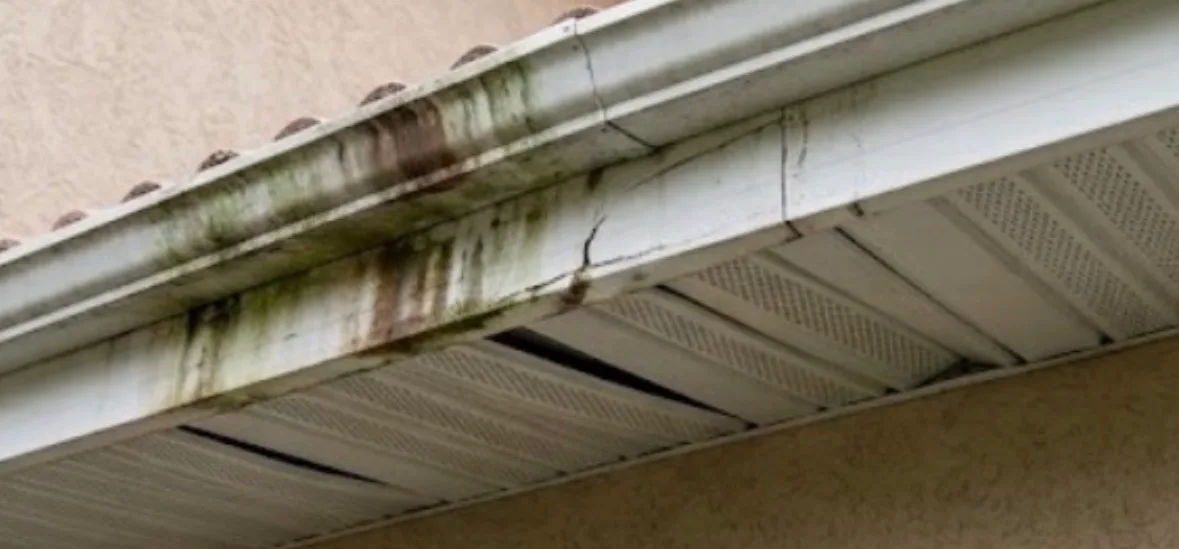 Metal gutter with algae buildup and debris requiring gutter repair