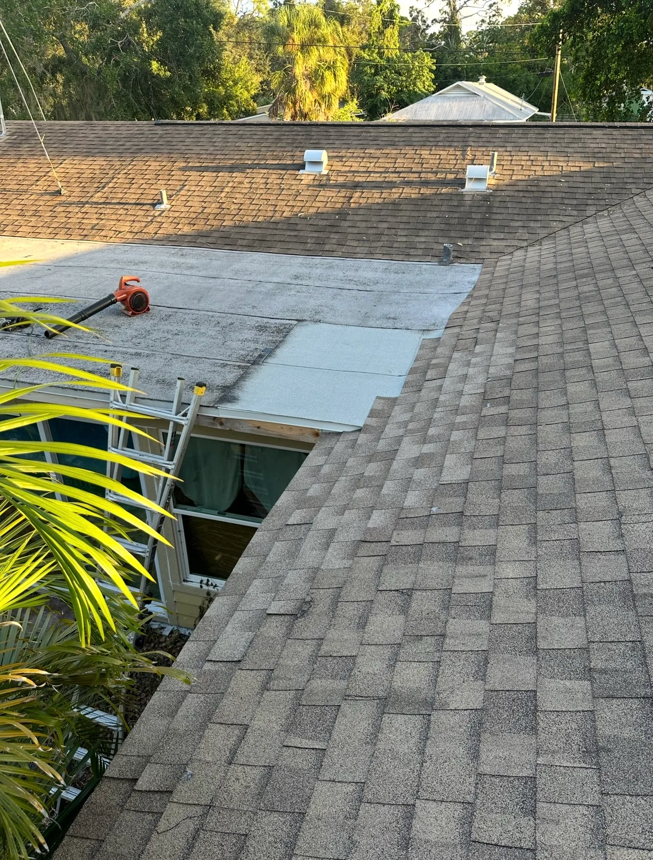 Professional shingle roof repair with blue tarps and safety equipment on residential roof